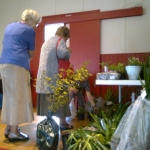 Early birds catch the best plants